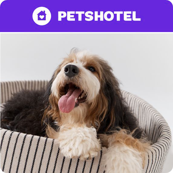 PetsHotel Per Night